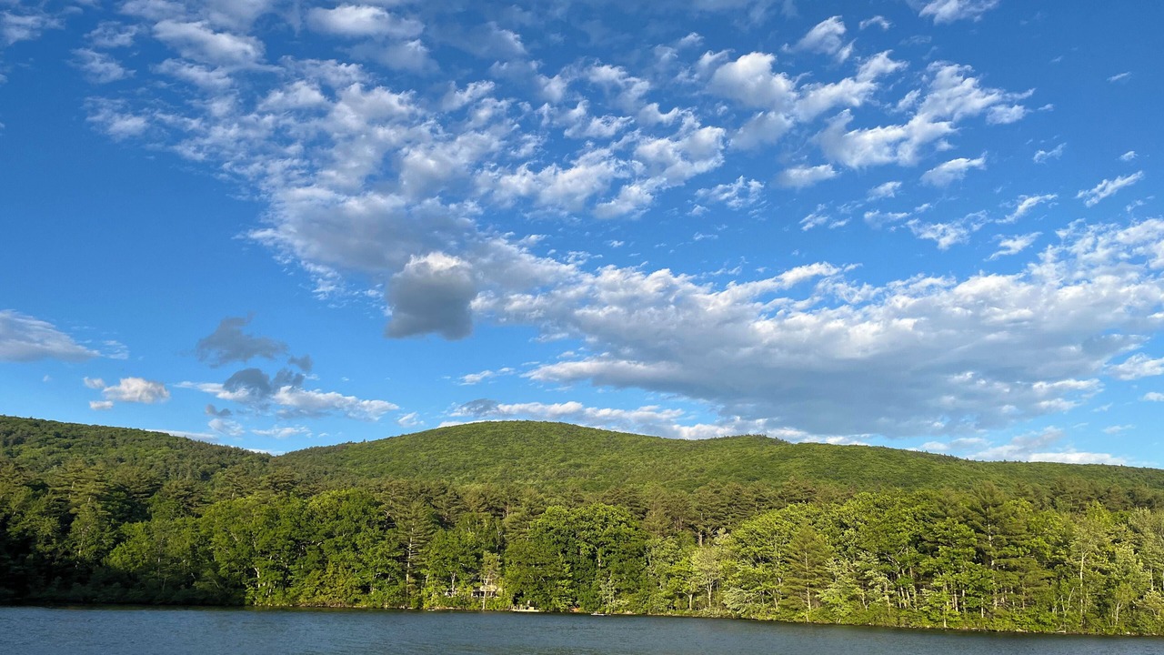 Photo of Others in Moultonborough
