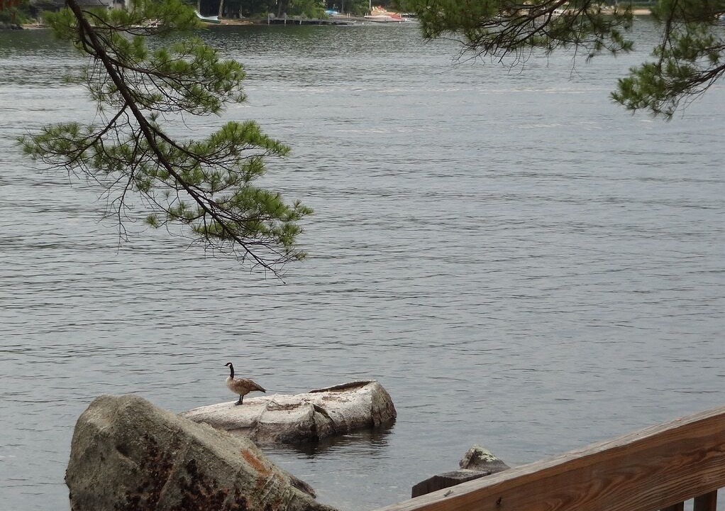 Photo of Others in Moultonborough