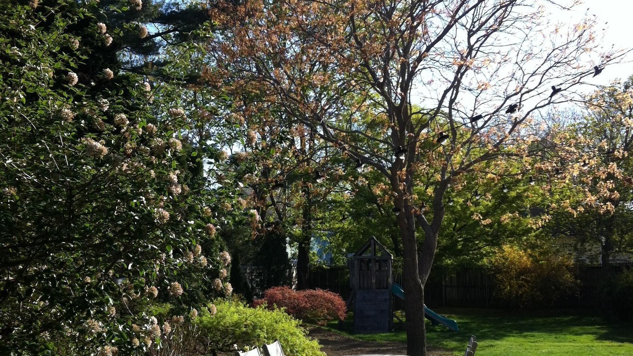Photo of Outdoor in Top of the Hill