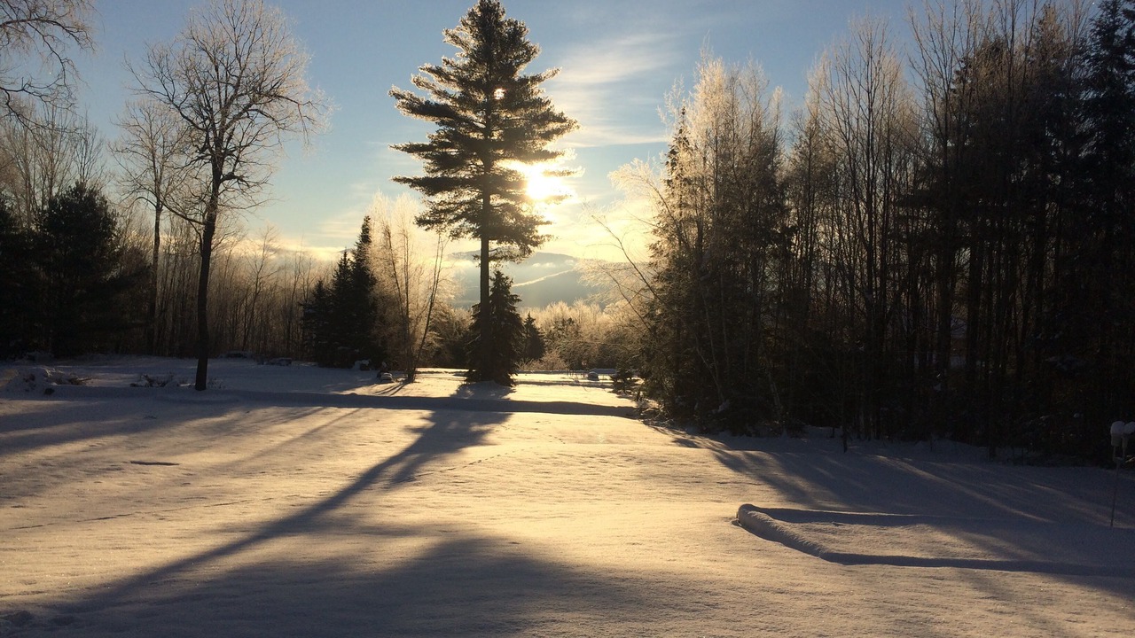 Photo of Others in Stowe