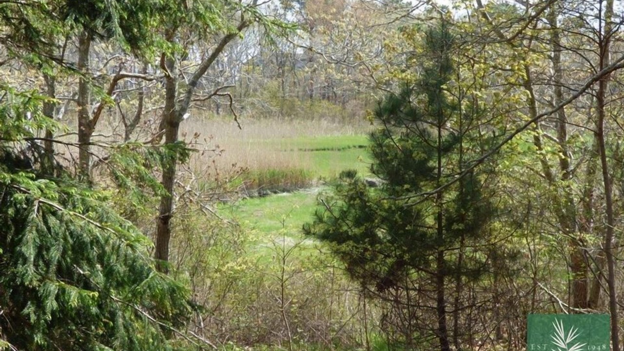 Photo of Outdoor in West Chatham