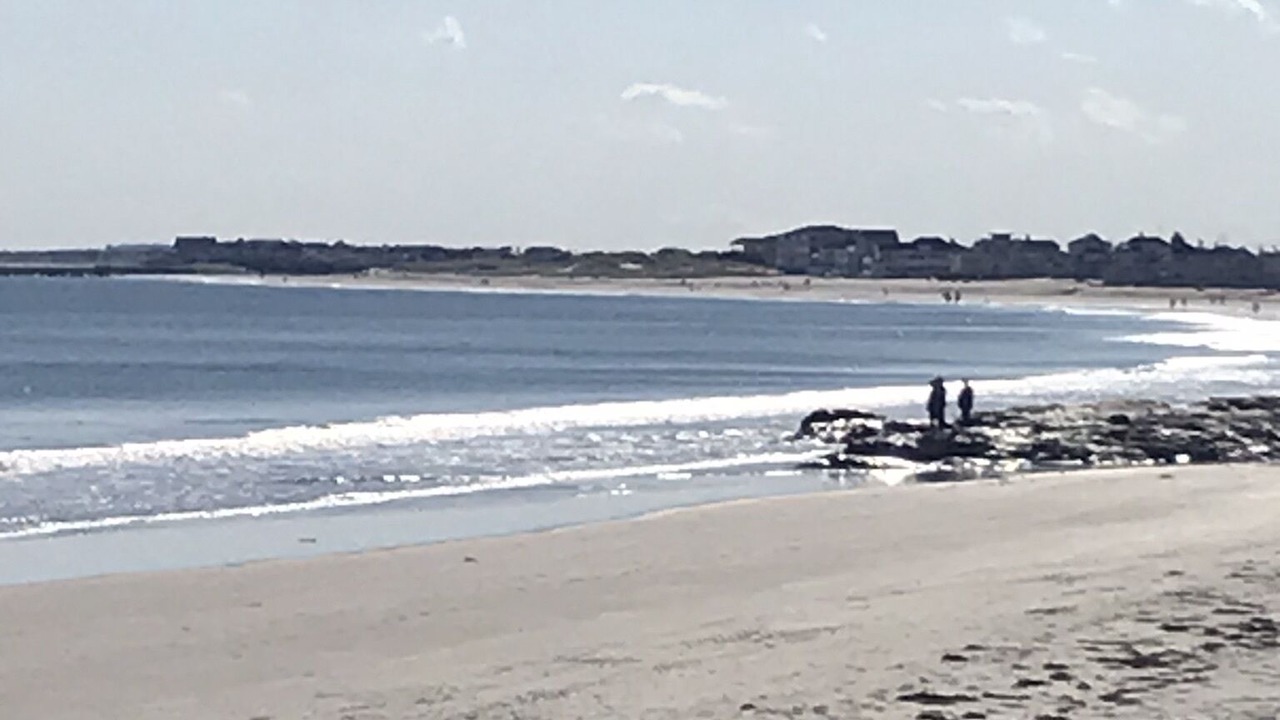 Photo of Others in Hampton