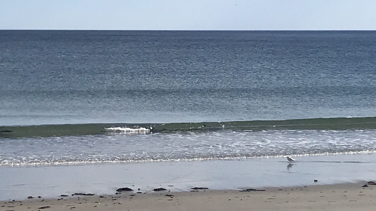 Photo of Others in Hampton
