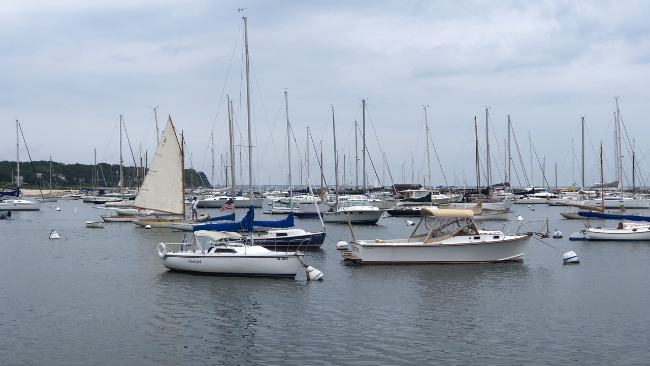 Photo of Others in Edgartown