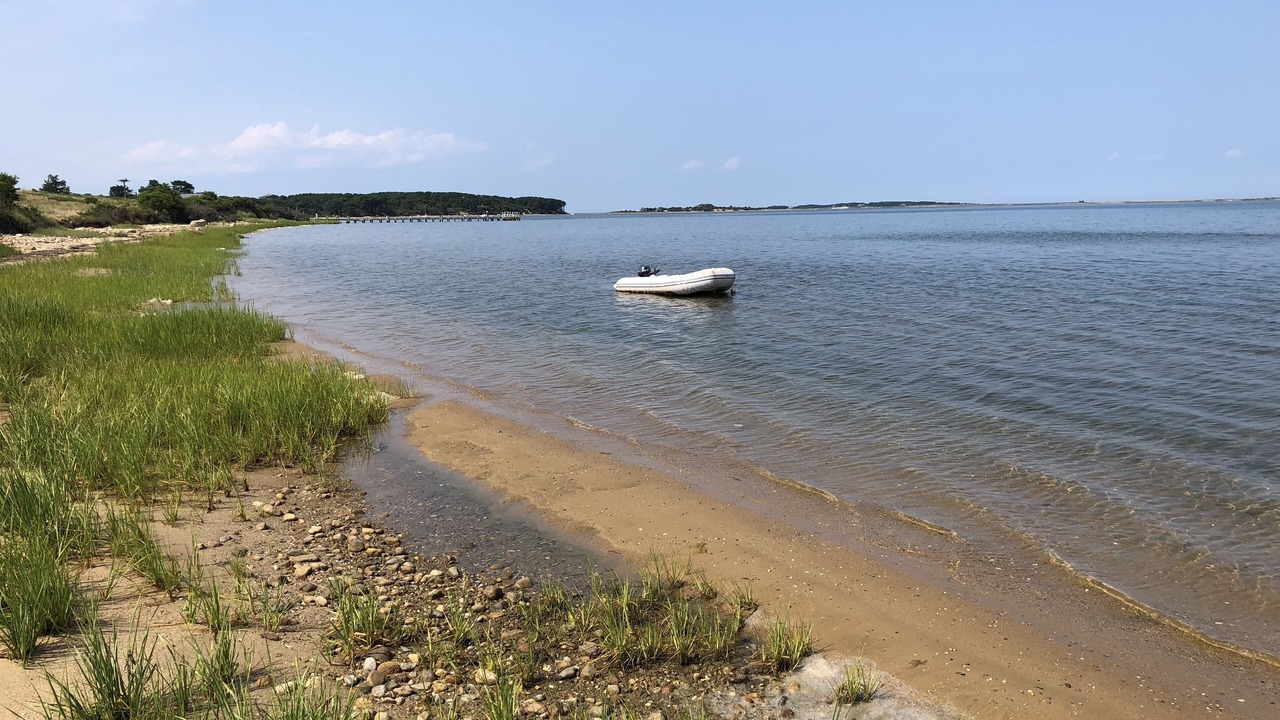 Photo of Others in Edgartown