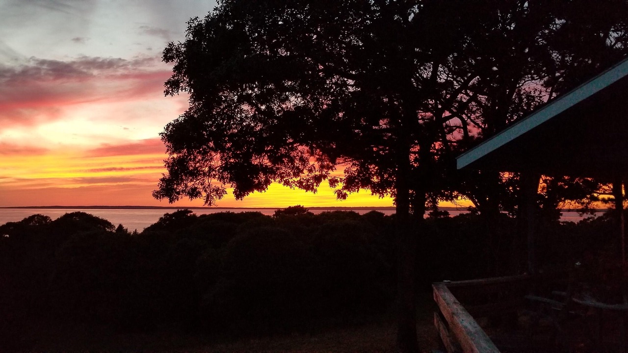 Photo of Outdoor in West Tisbury