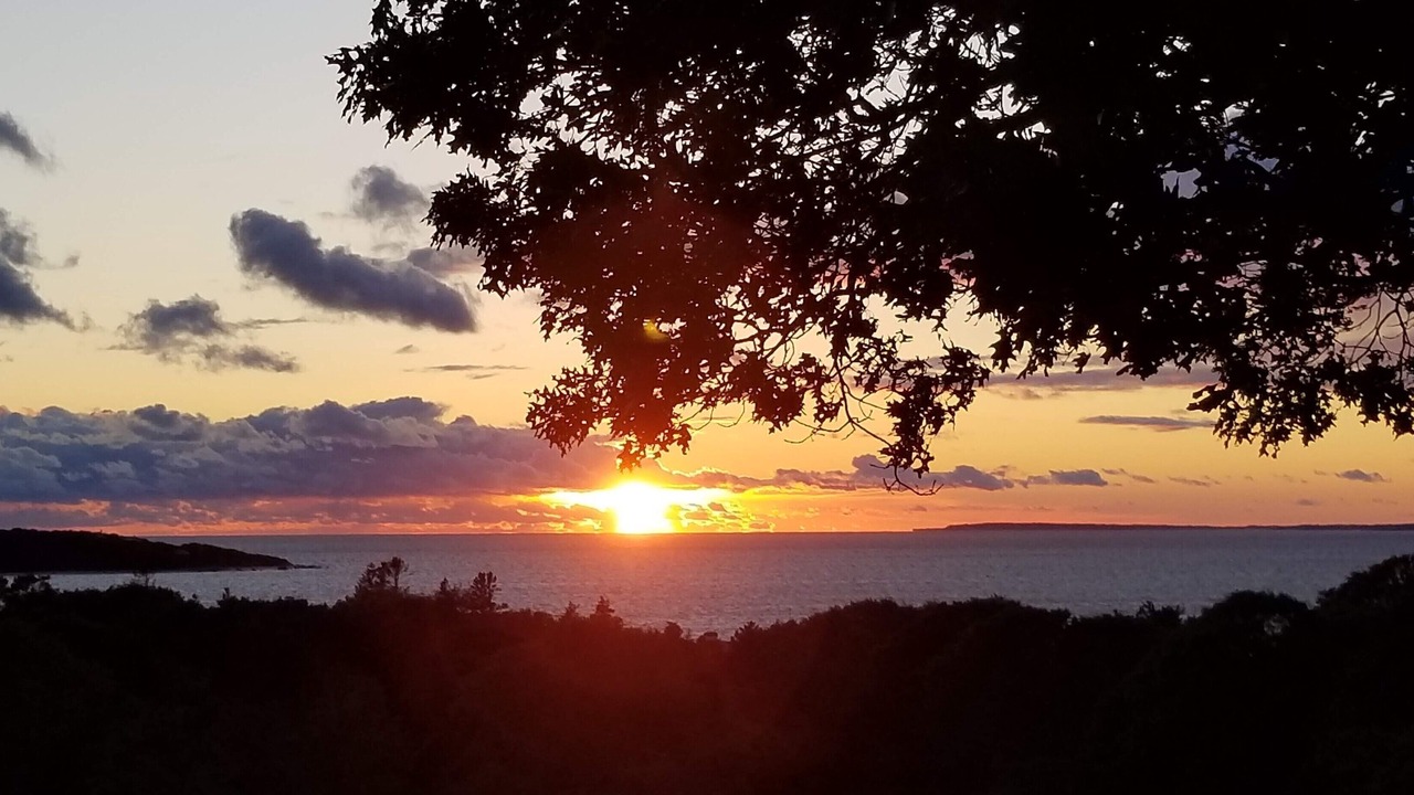 Photo of Others in West Tisbury