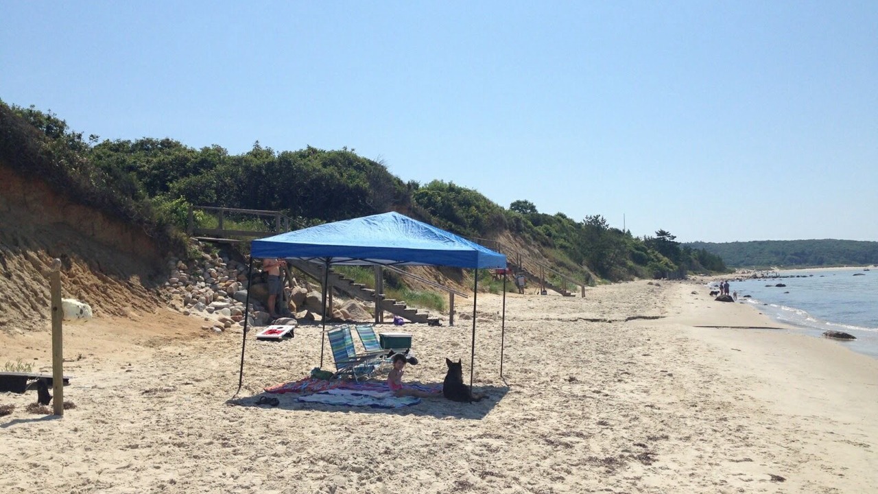 Photo of Others in West Tisbury
