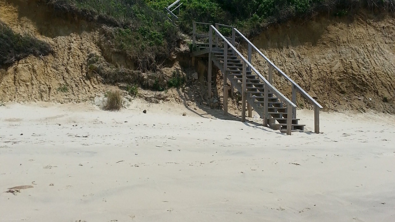 Photo of Others in West Tisbury
