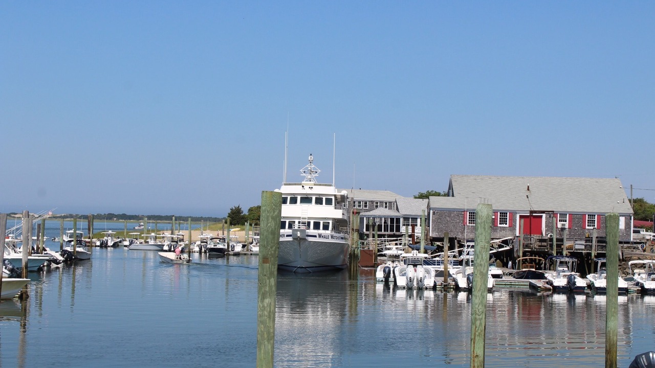 Photo of Others in Barnstable