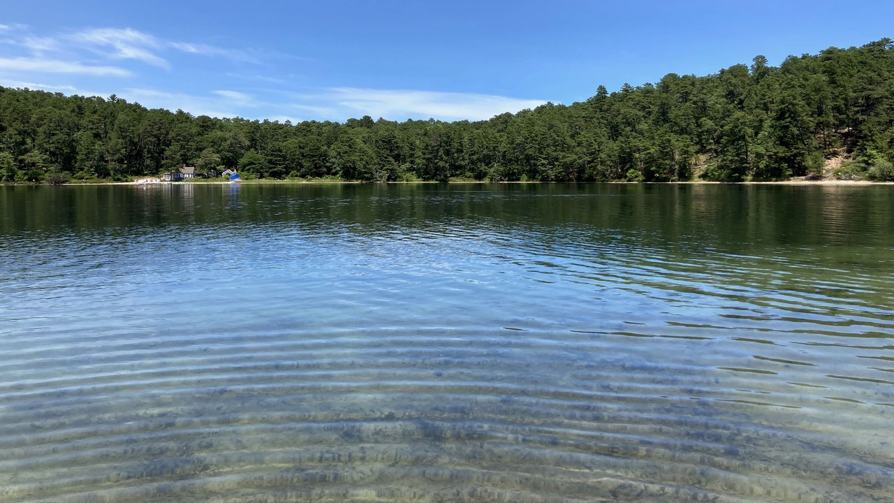 Photo of Others in Wellfleet