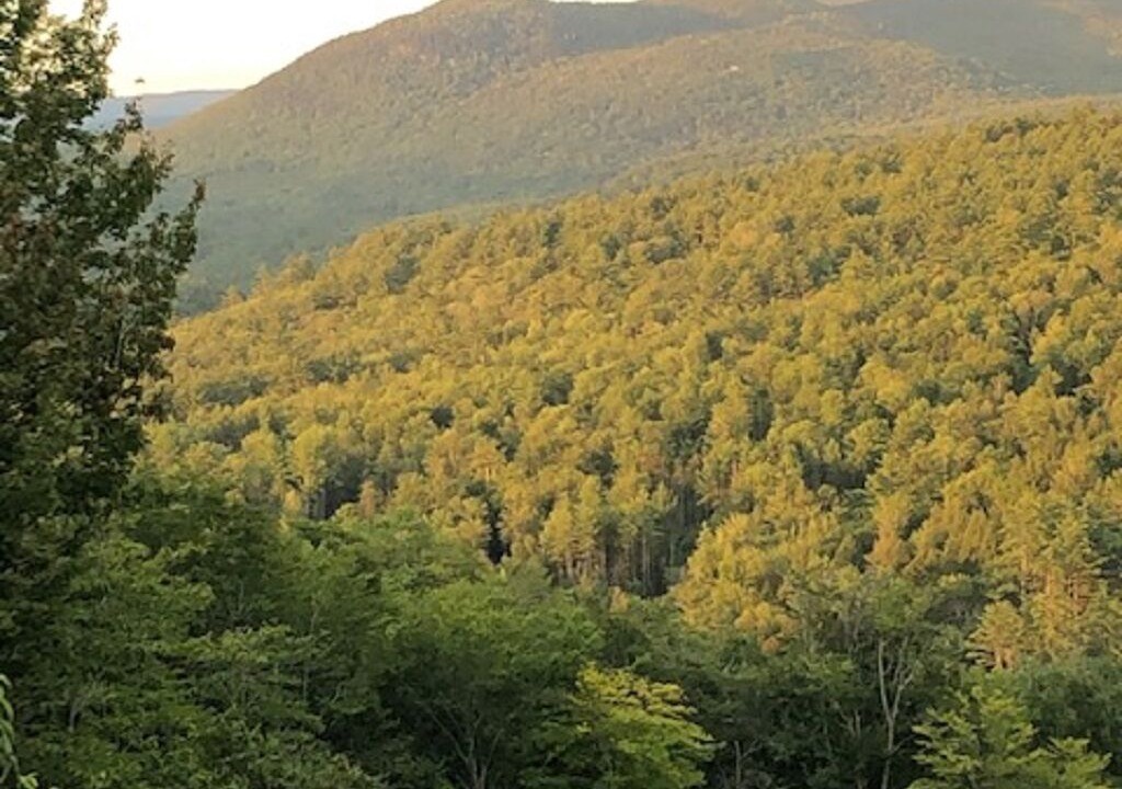 Photo of Others in Campton