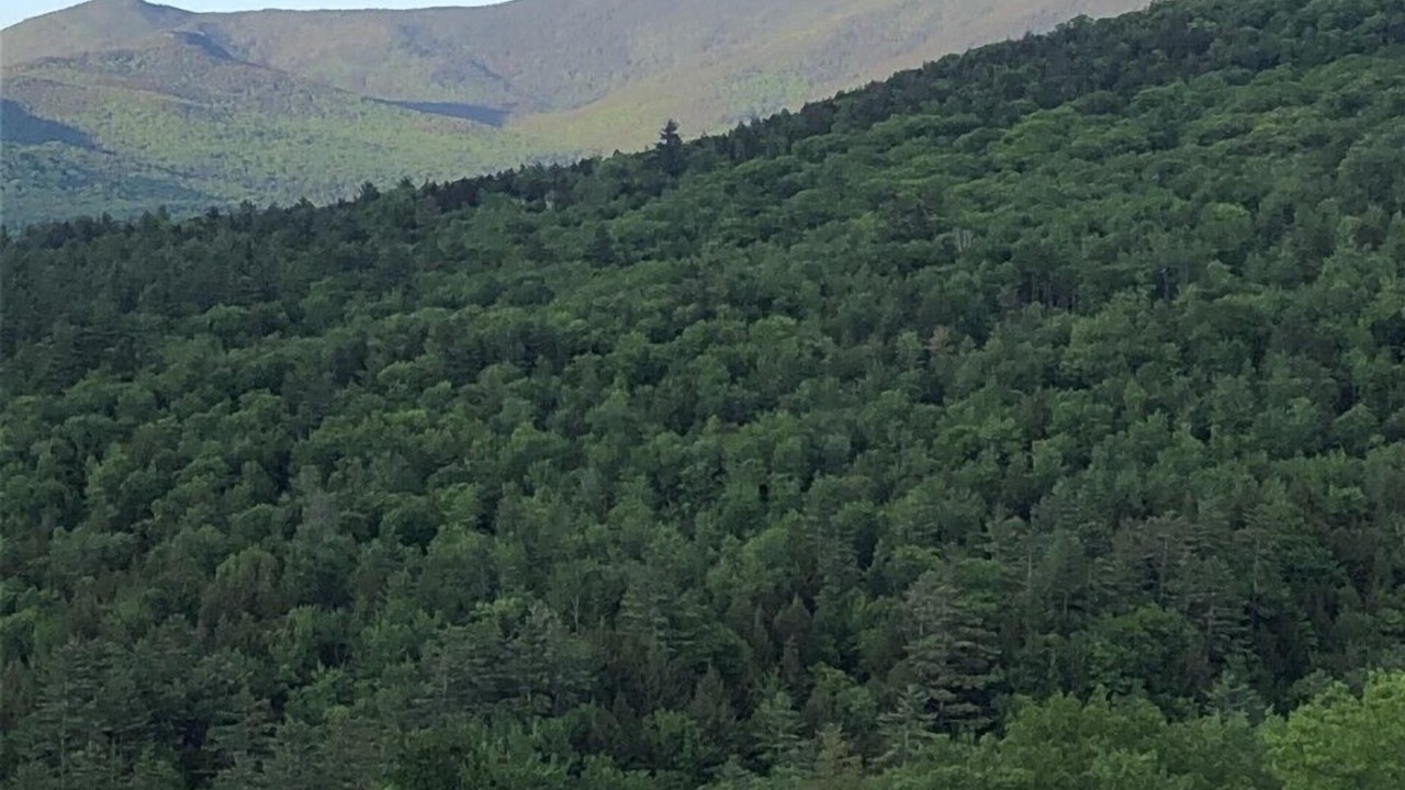 Photo of Others in Campton