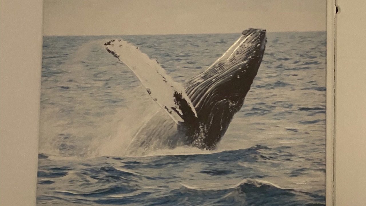 Photo of Others in West Yarmouth