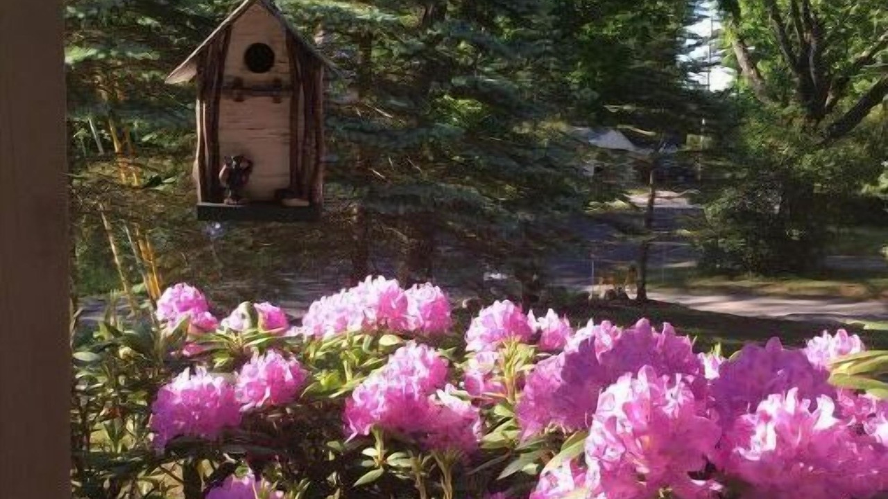 Photo of Outdoor in Bolton Landing