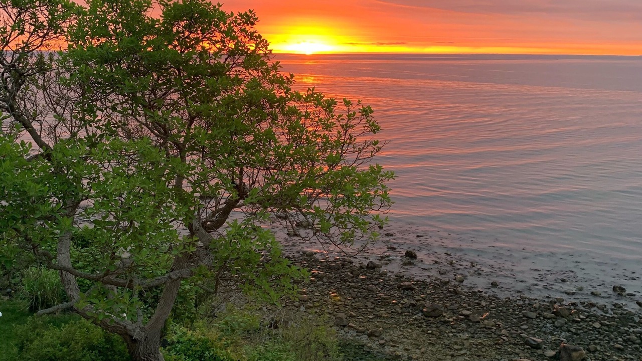 Photo of Outdoor in Plymouth