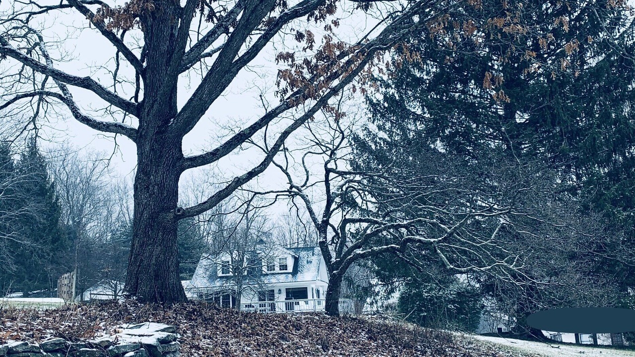 Photo of Outdoor in Sharon