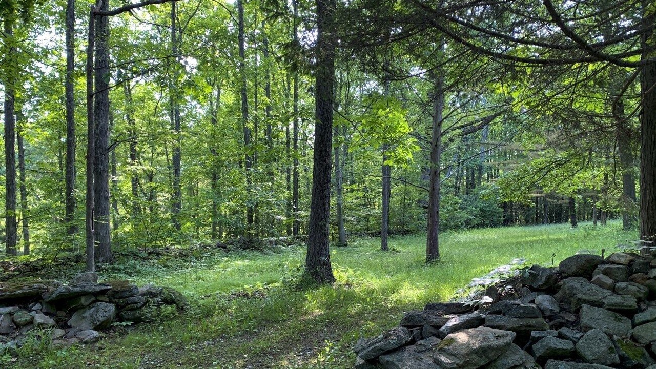 Photo of Outdoor in Sharon