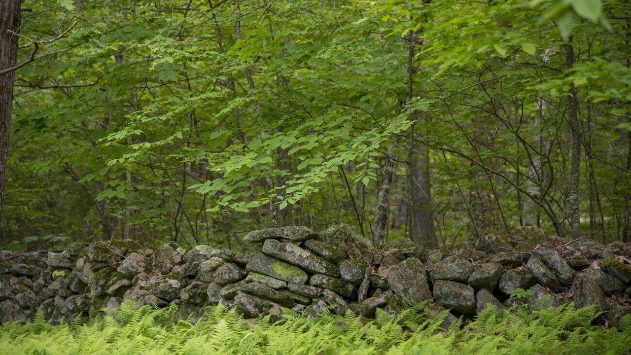 Photo of Outdoor in Sharon