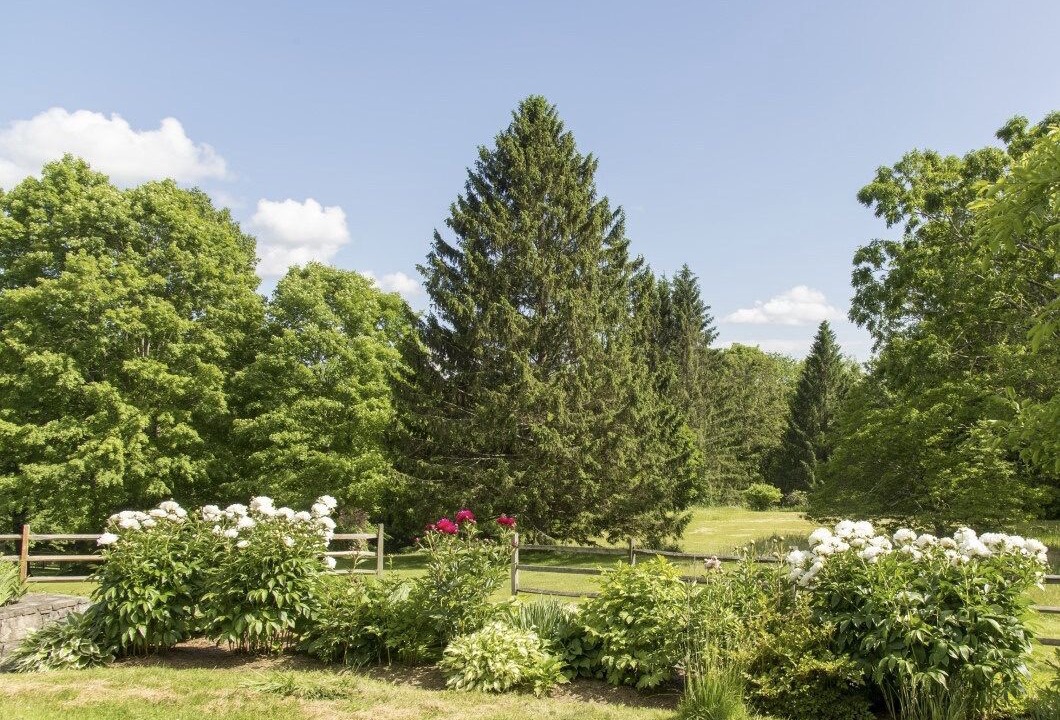 Photo of Outdoor in Sharon