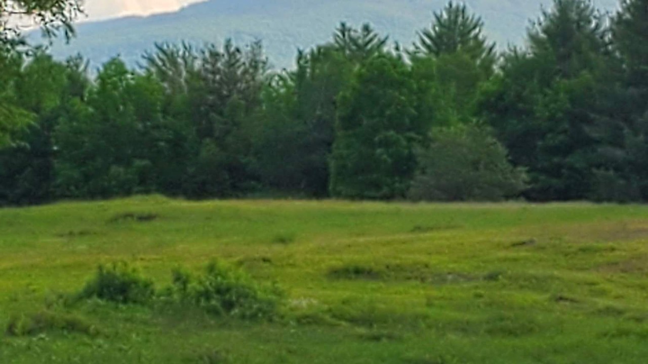 Photo of Others in North Creek