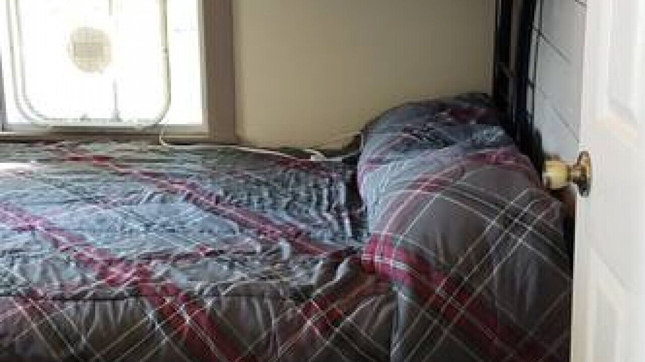 Photo of Bedroom in Livonia