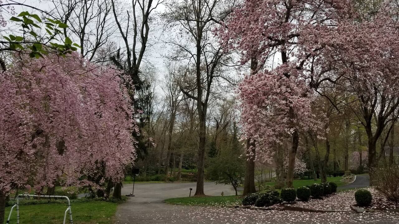 Photo of Outdoor in Westport