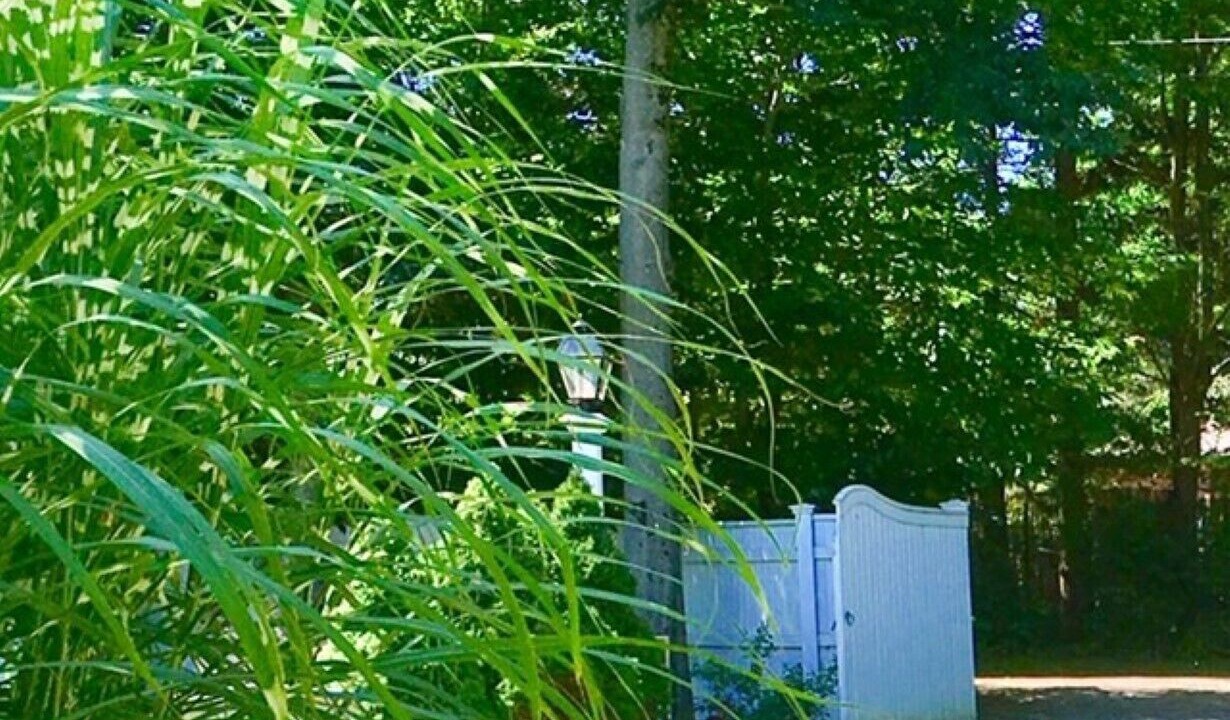 Photo of Others in Goshen