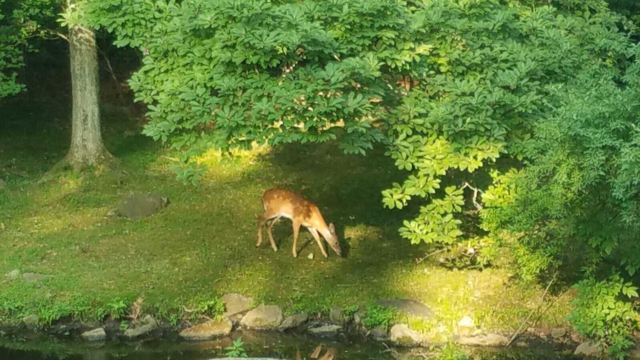 Photo of Outdoor in Norwalk