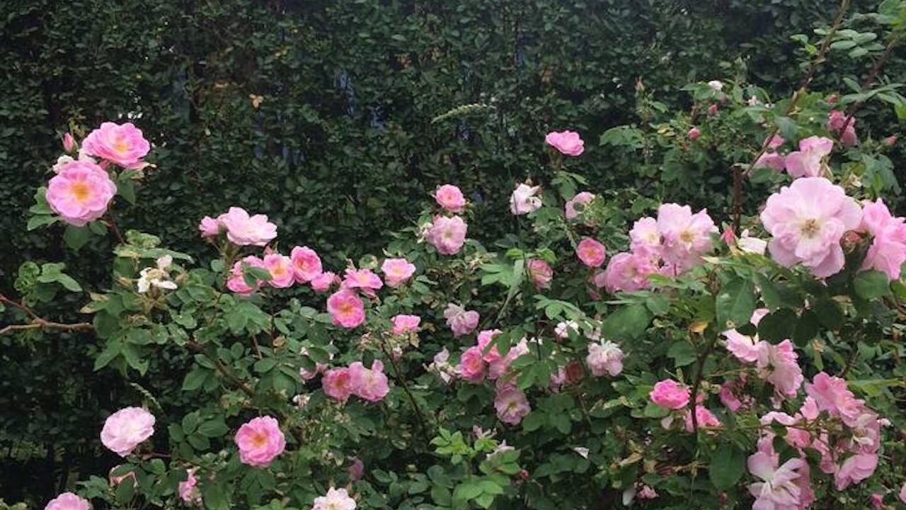 Photo of Outdoor in Warren