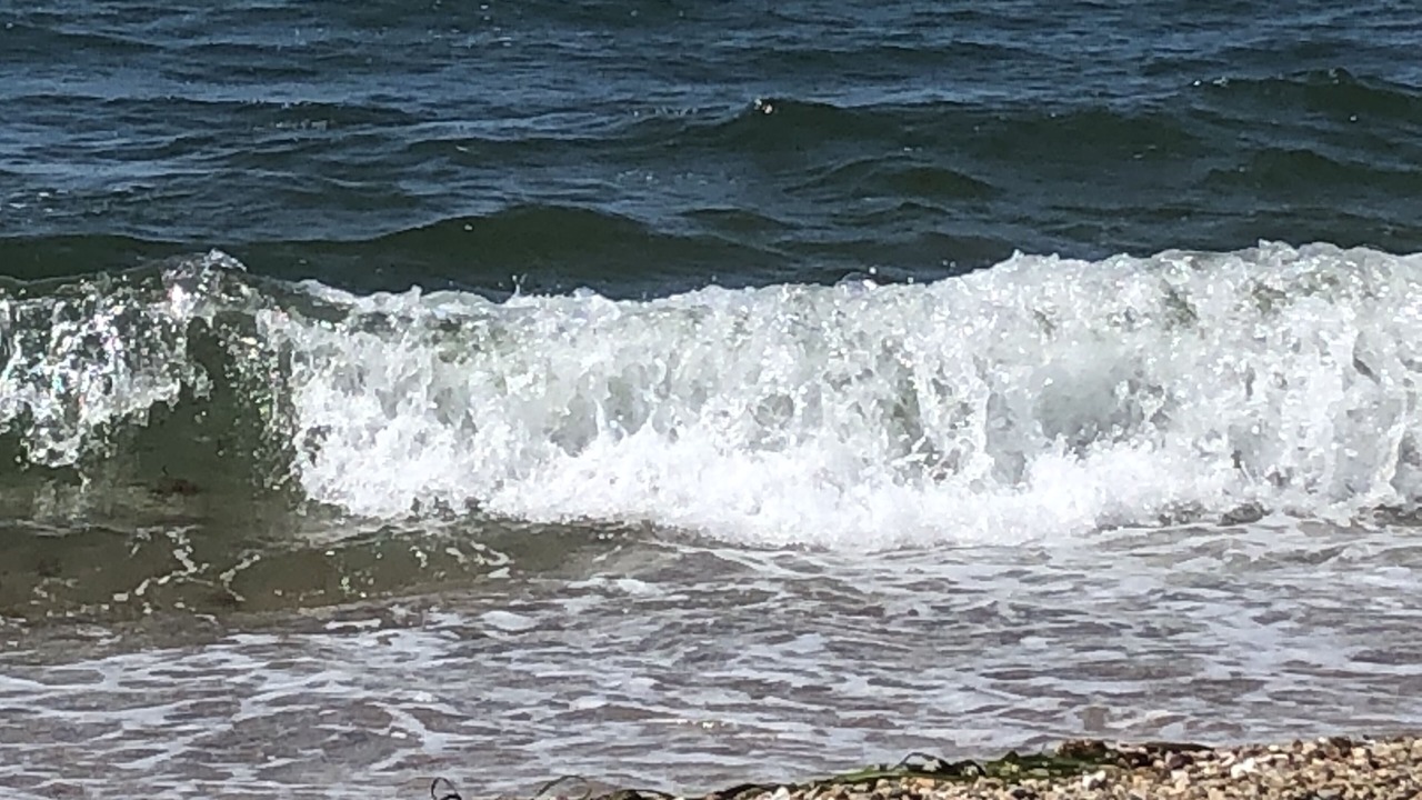 Photo of Others in East Falmouth