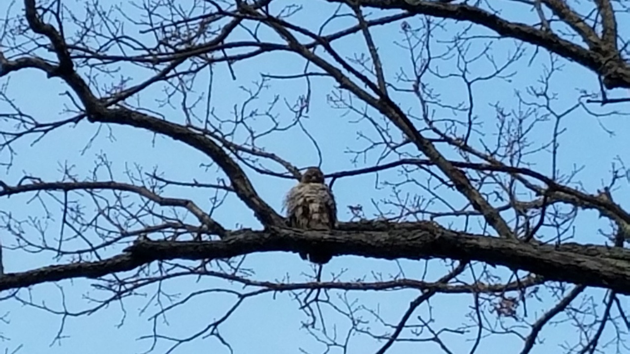 Photo of Others in Redding Ridge