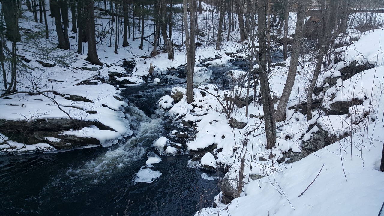 Photo of Others in Redding Ridge