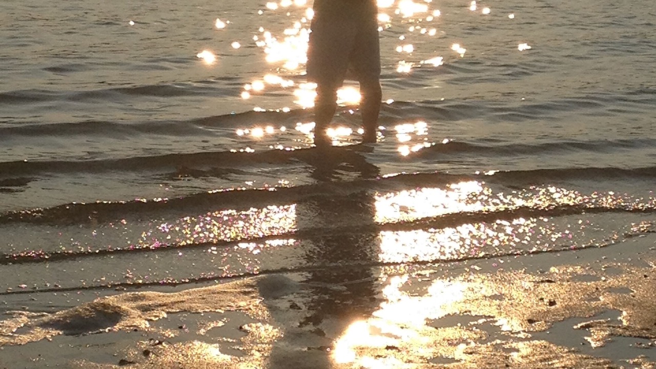 Photo of Others in Bass River