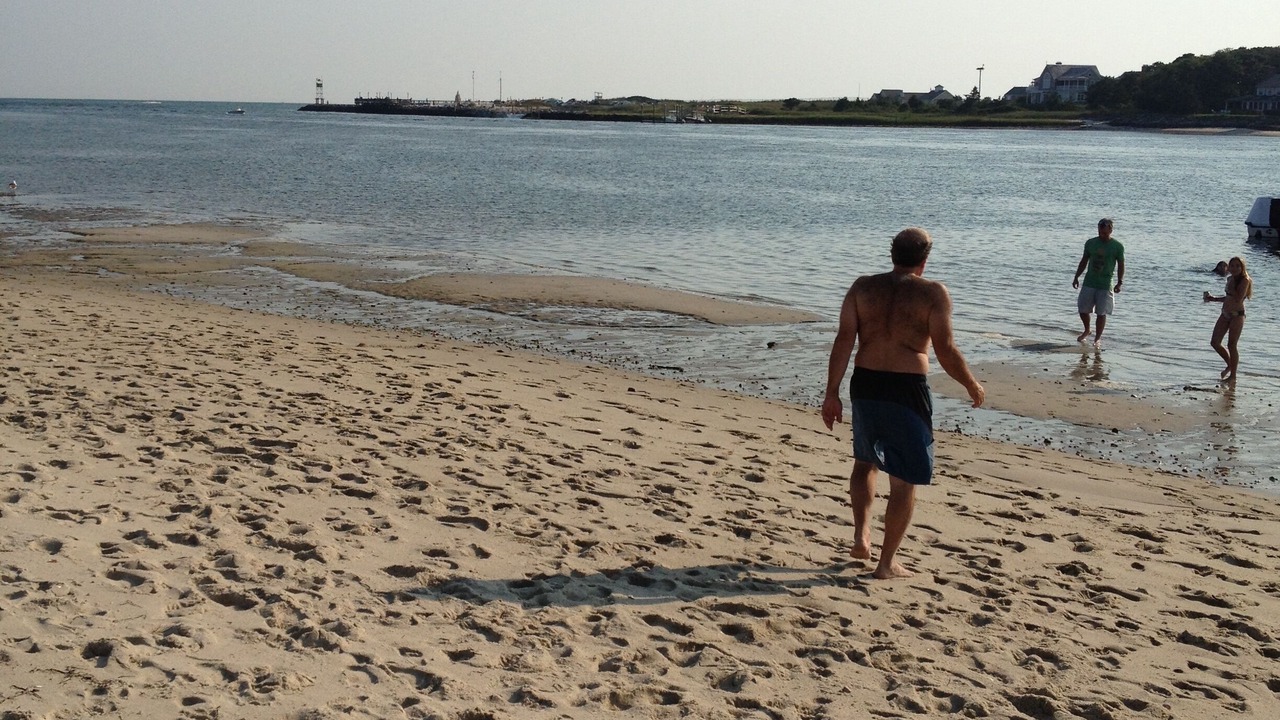 Photo of Others in Bass River