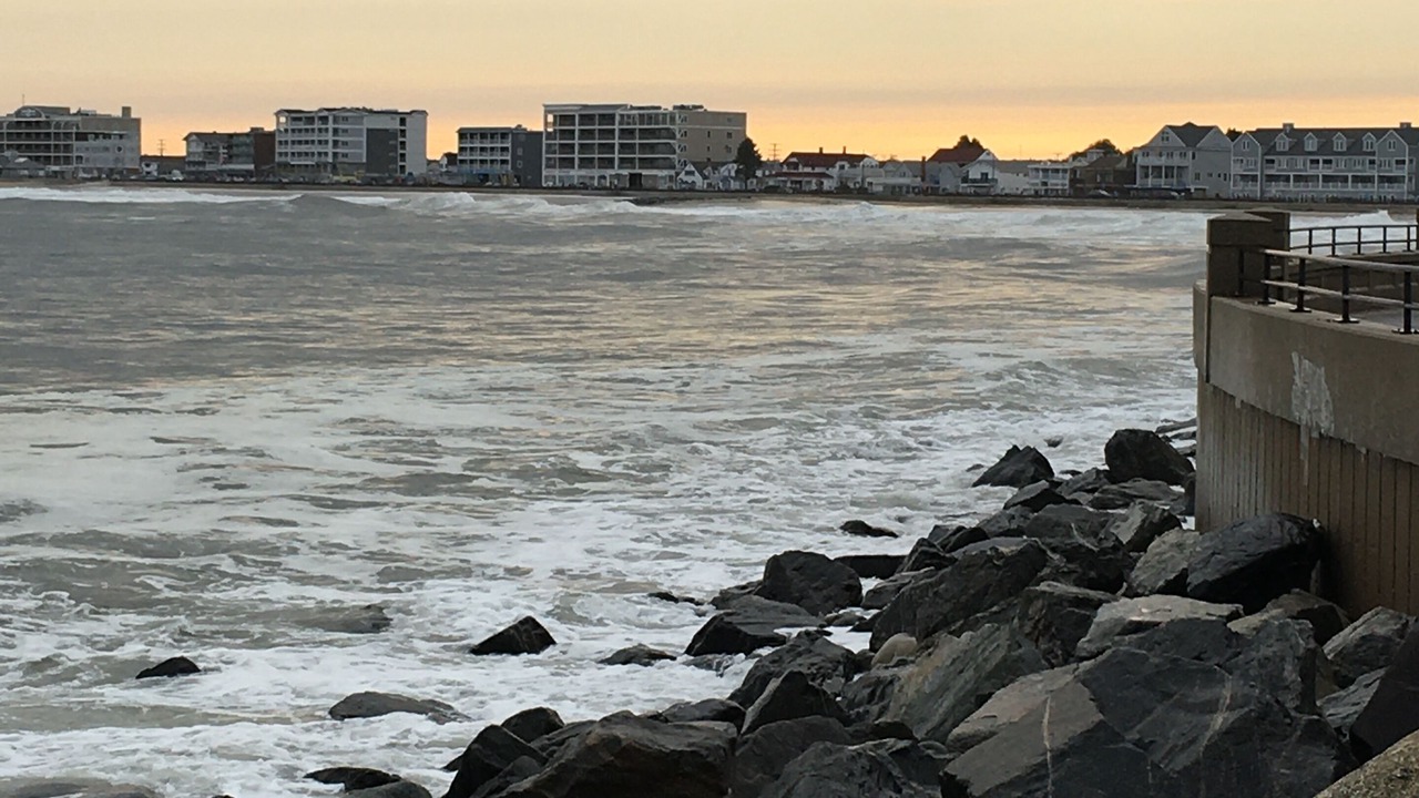 Photo of Others in Hampton