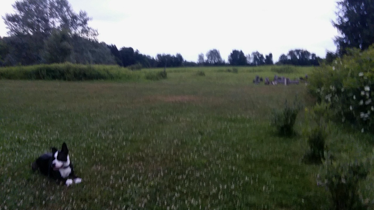 Photo of Others in Groton
