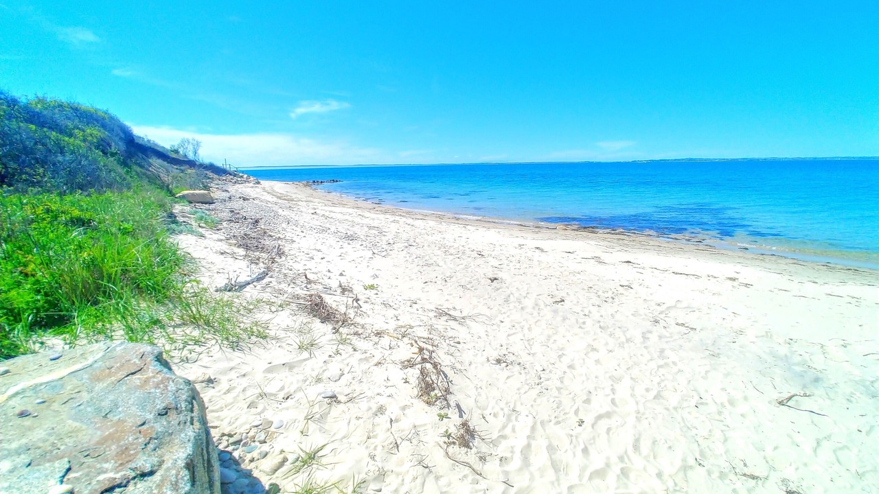 Photo of Others in Tisbury