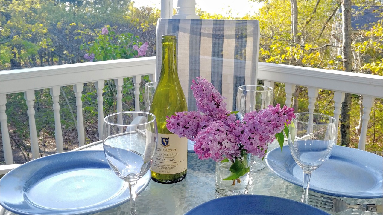 Photo of Outdoor in Tisbury
