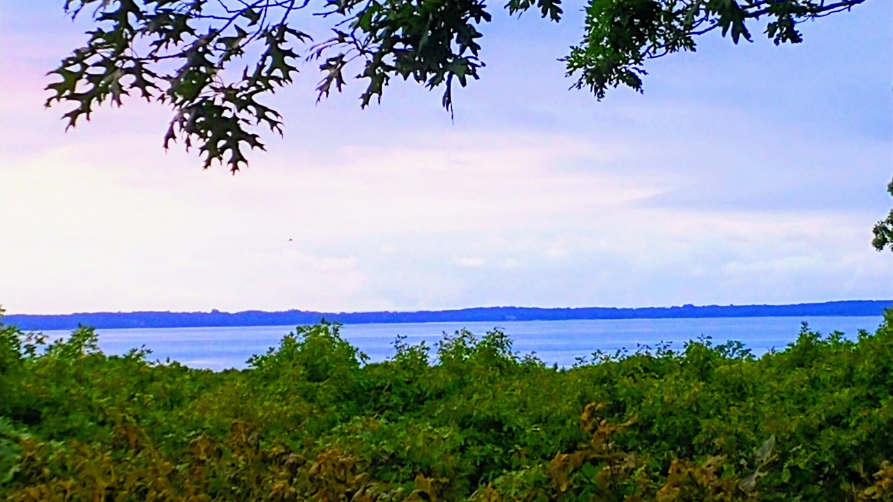 Photo of Others in Tisbury