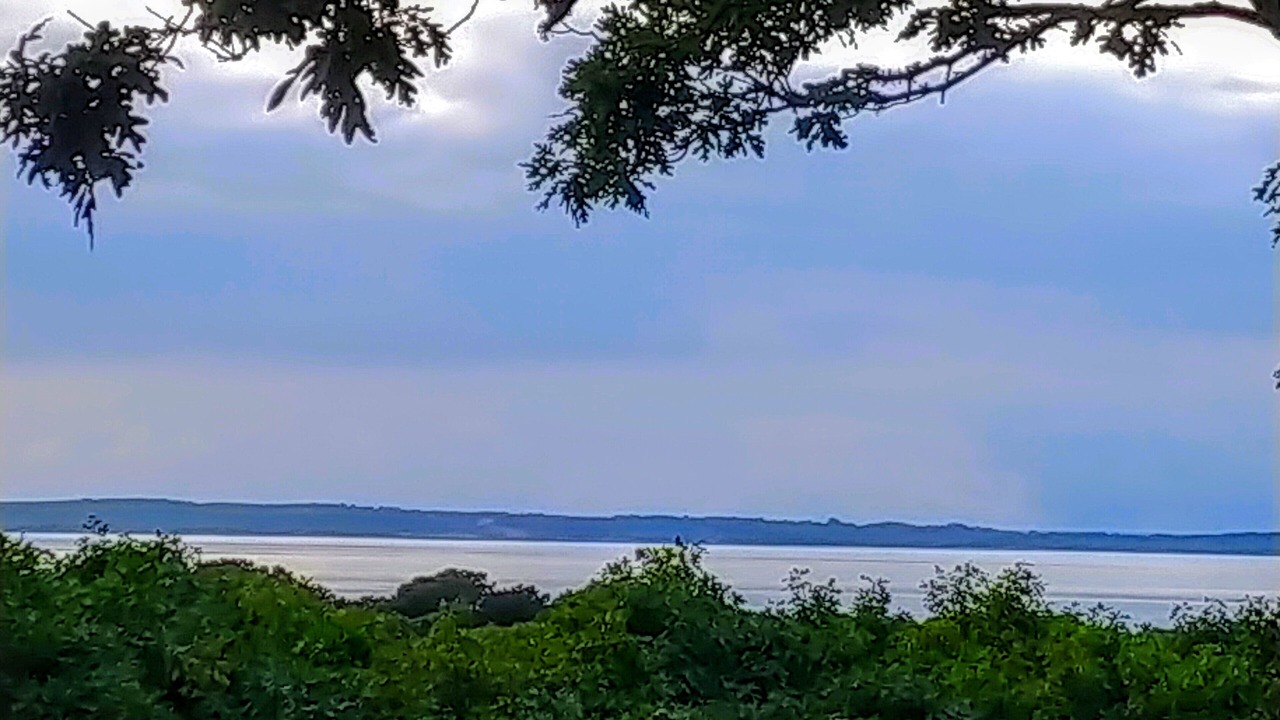 Photo of Outdoor in Tisbury