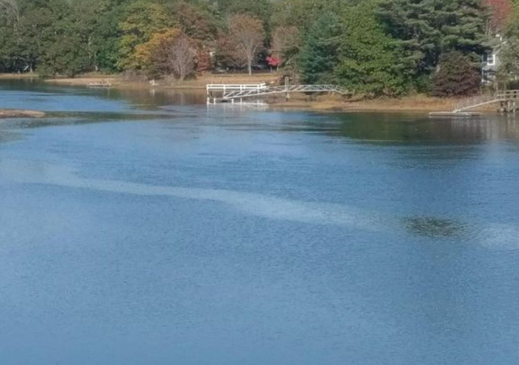 Photo of Others in Kennebunk