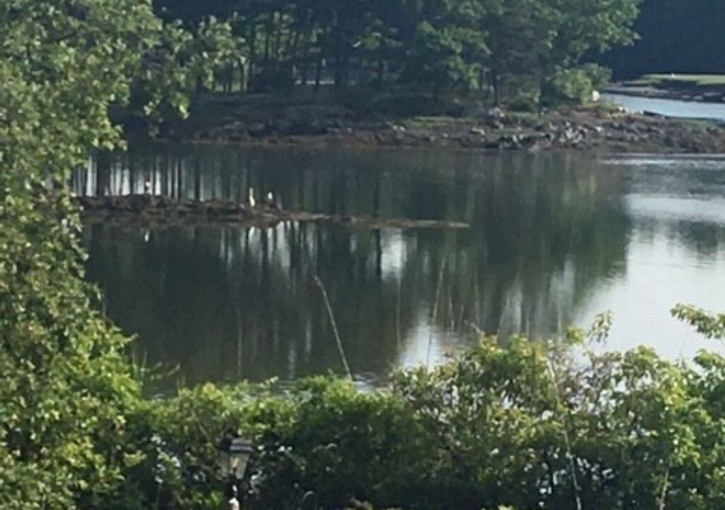 Photo of Others in Kennebunk