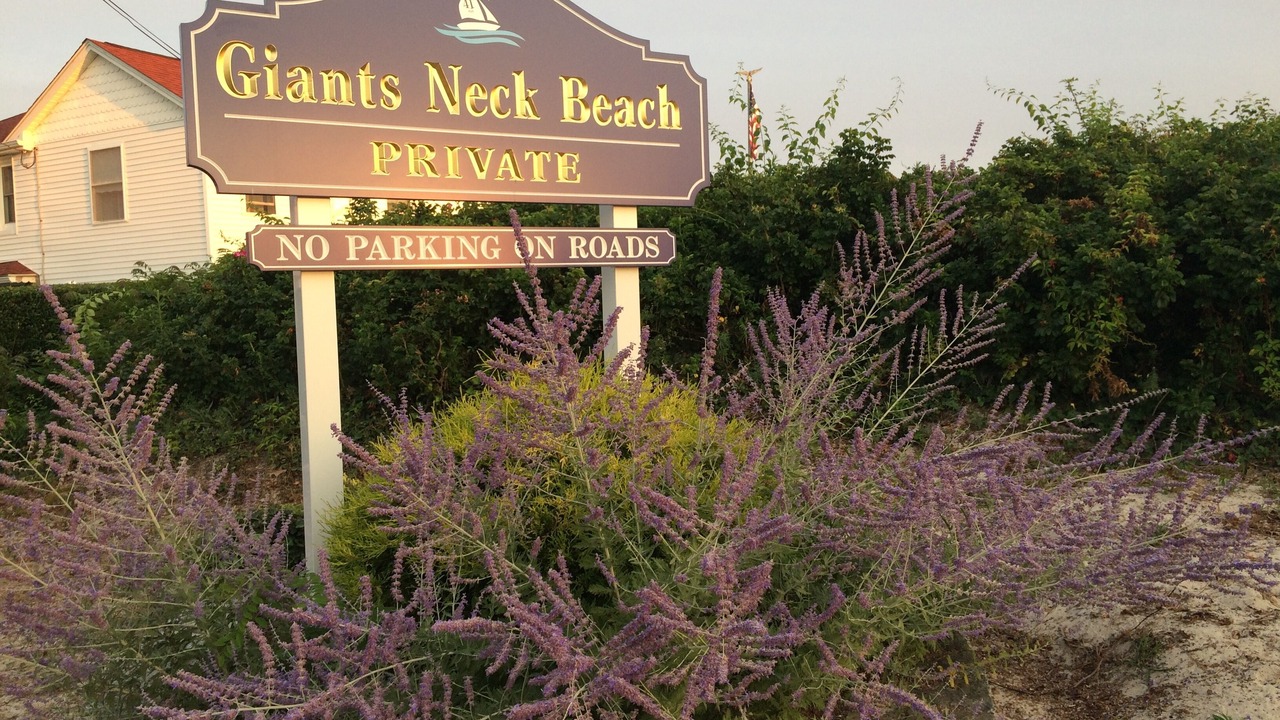 Photo of Outdoor in Niantic
