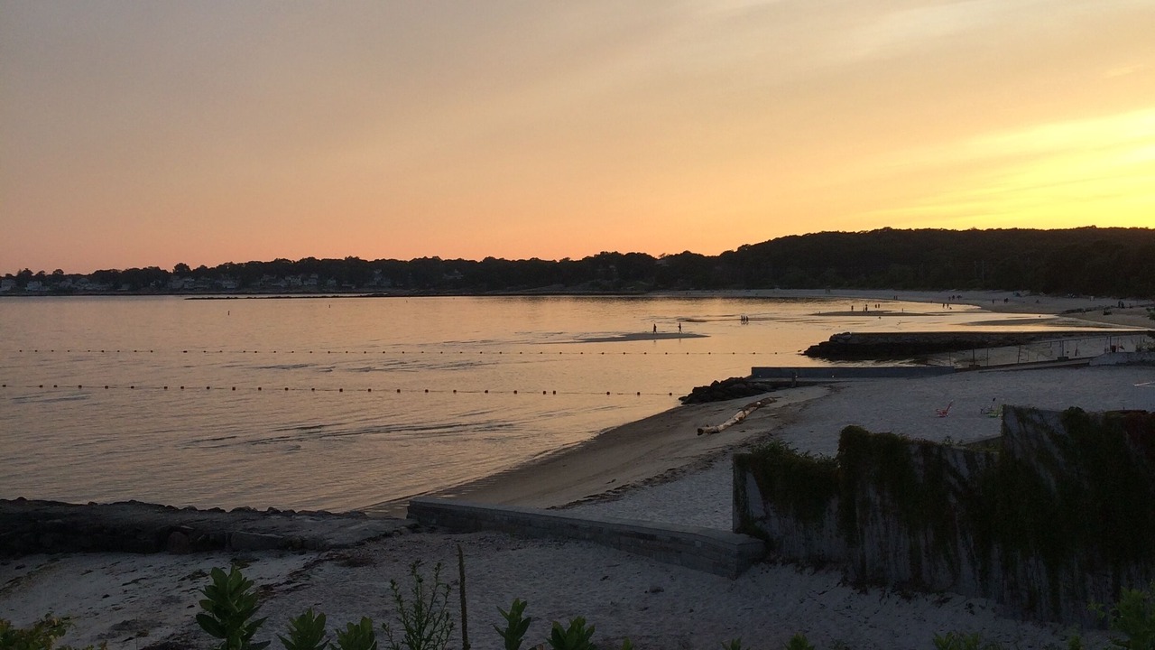 Photo of Others in Niantic