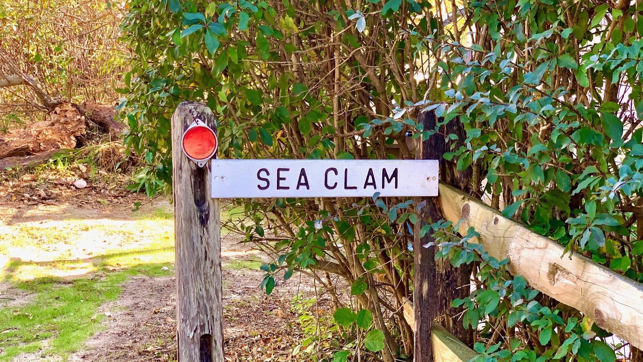 Photo of Others in Wellfleet
