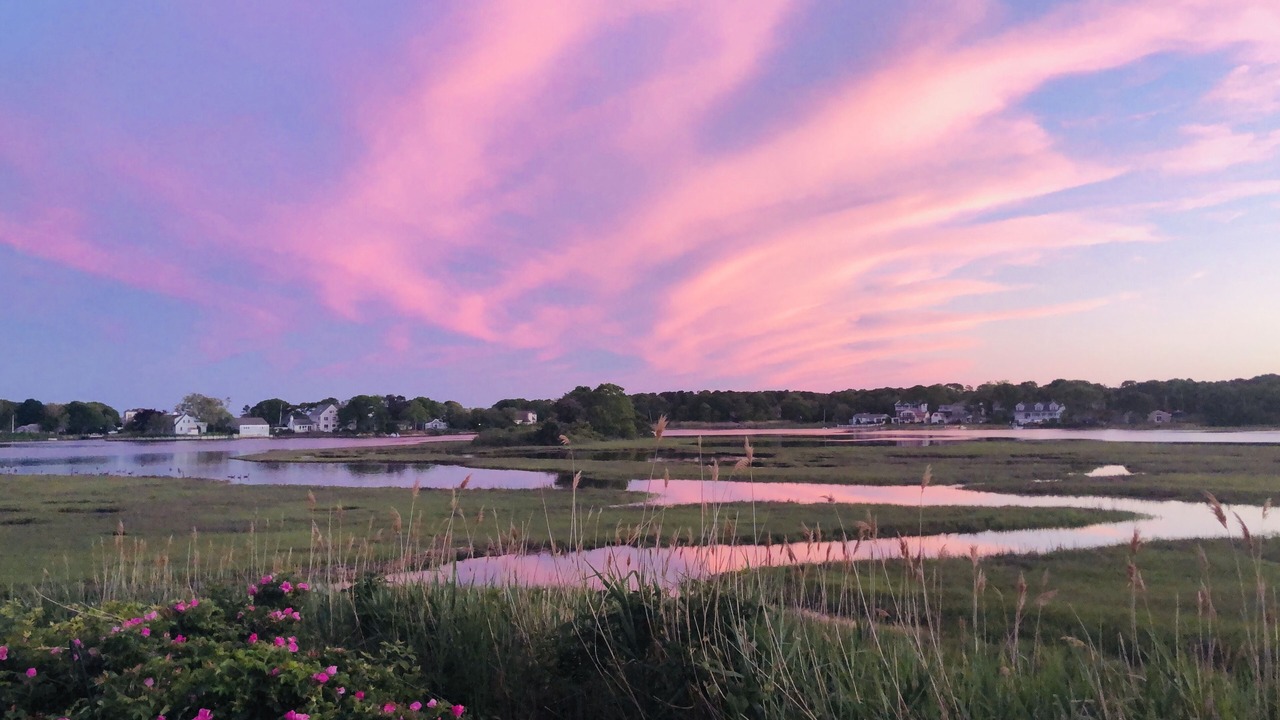 Photo of Others in West Yarmouth