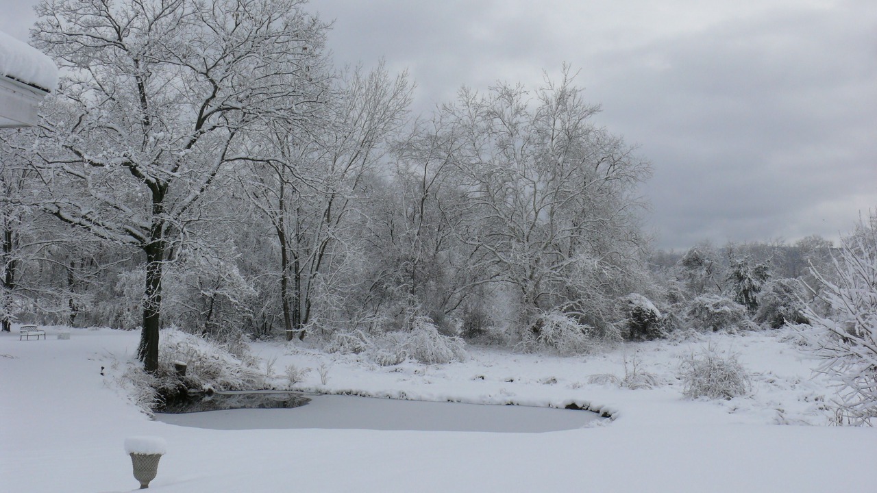 Photo of Others in Great Barrington