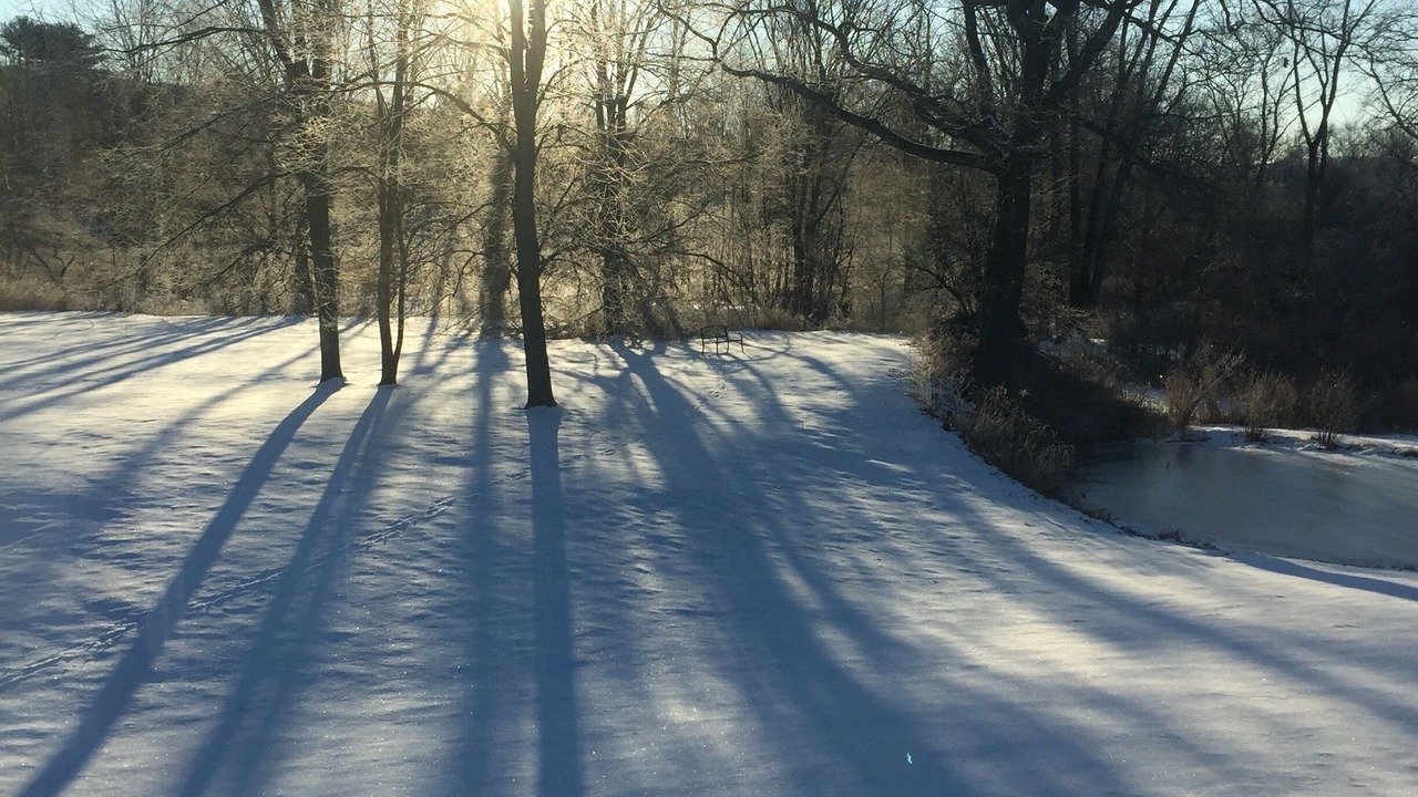 Photo of Others in Great Barrington