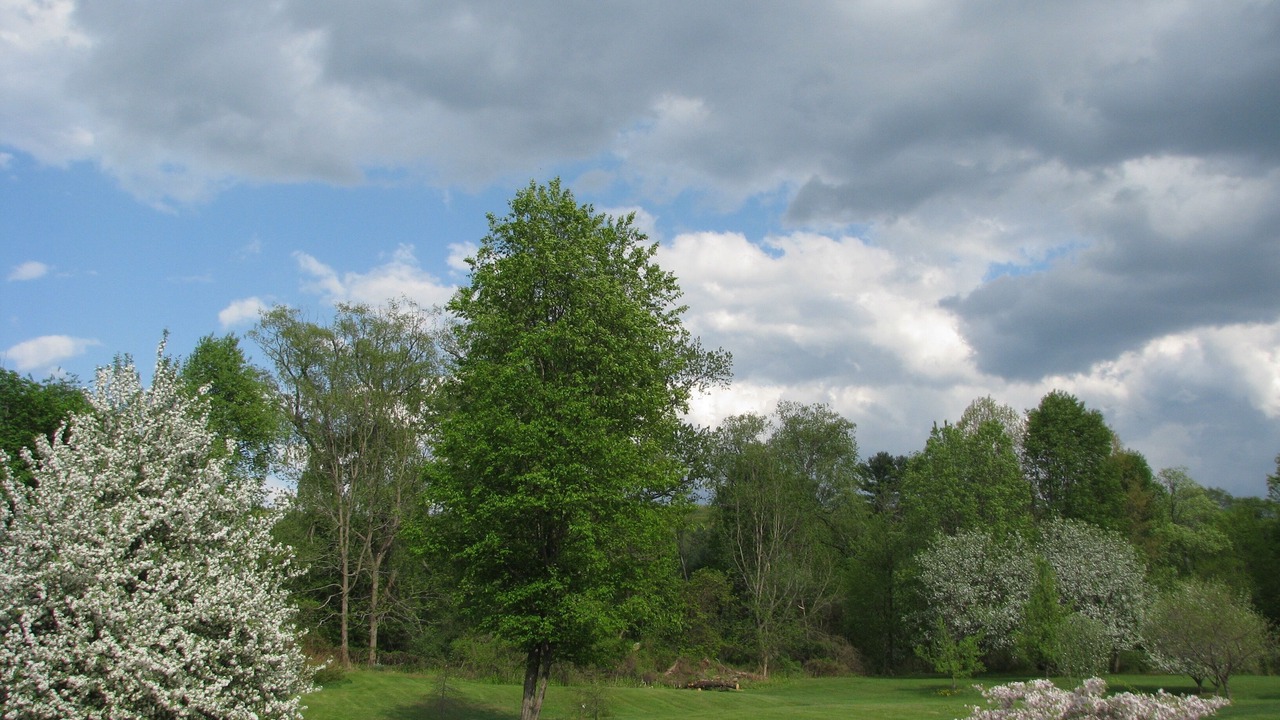 Photo of Others in Great Barrington
